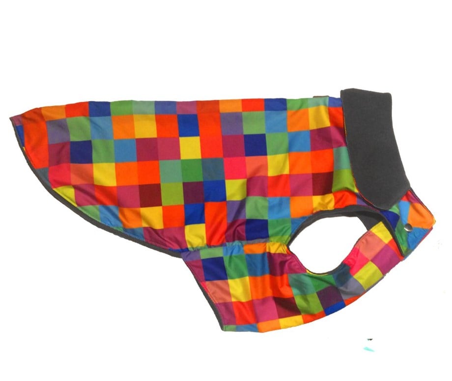 Alphadog Design Colorbox Büyük Köpek Mont