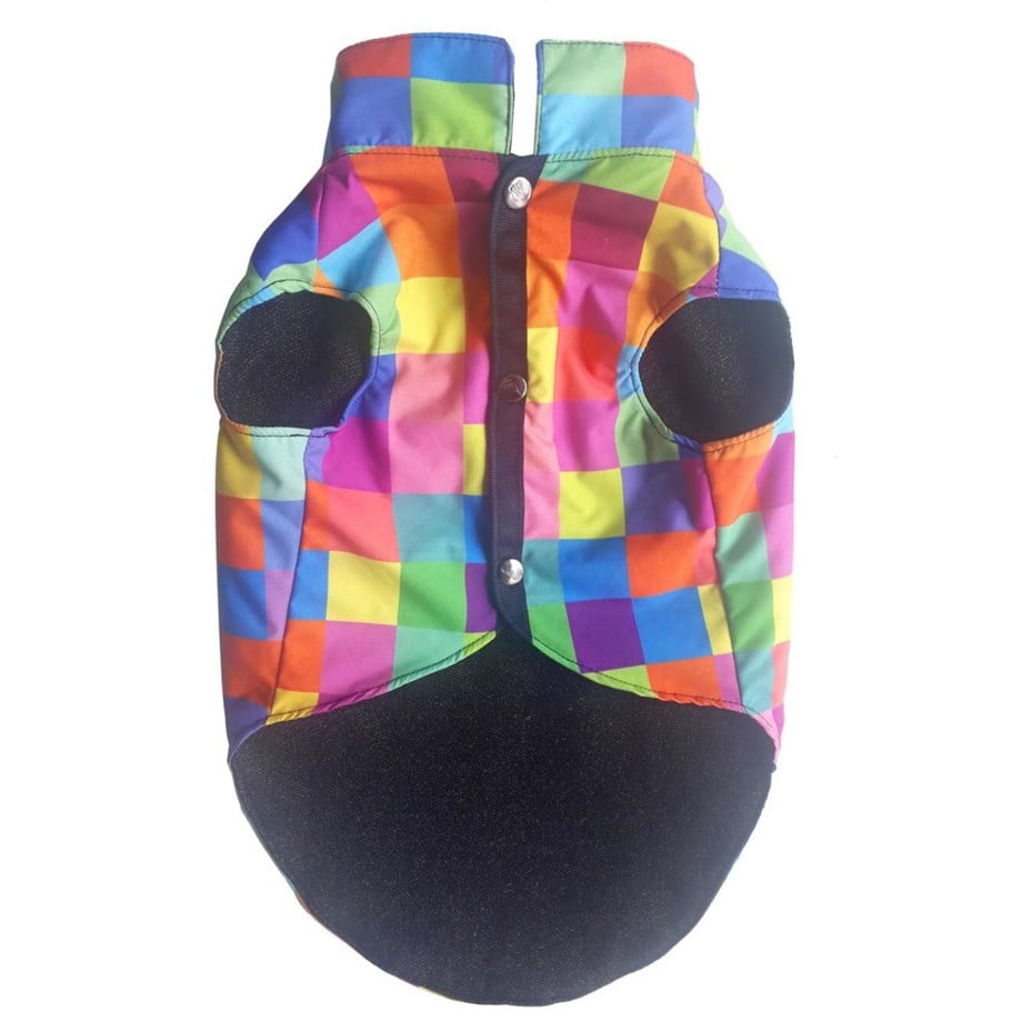 Alphadog Design Colorbox Köpek Mont
