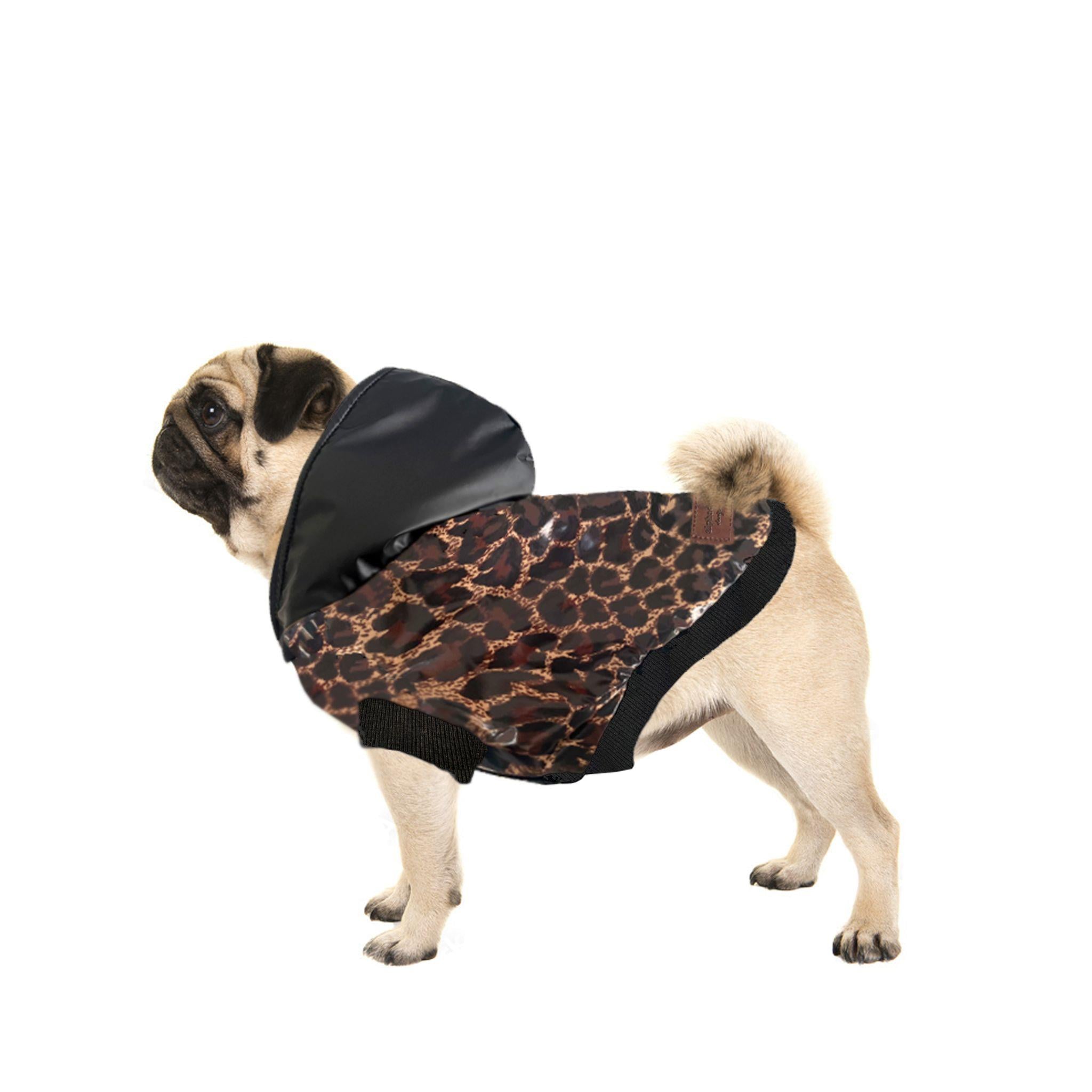 Alphadog Leopard Köpek Montu