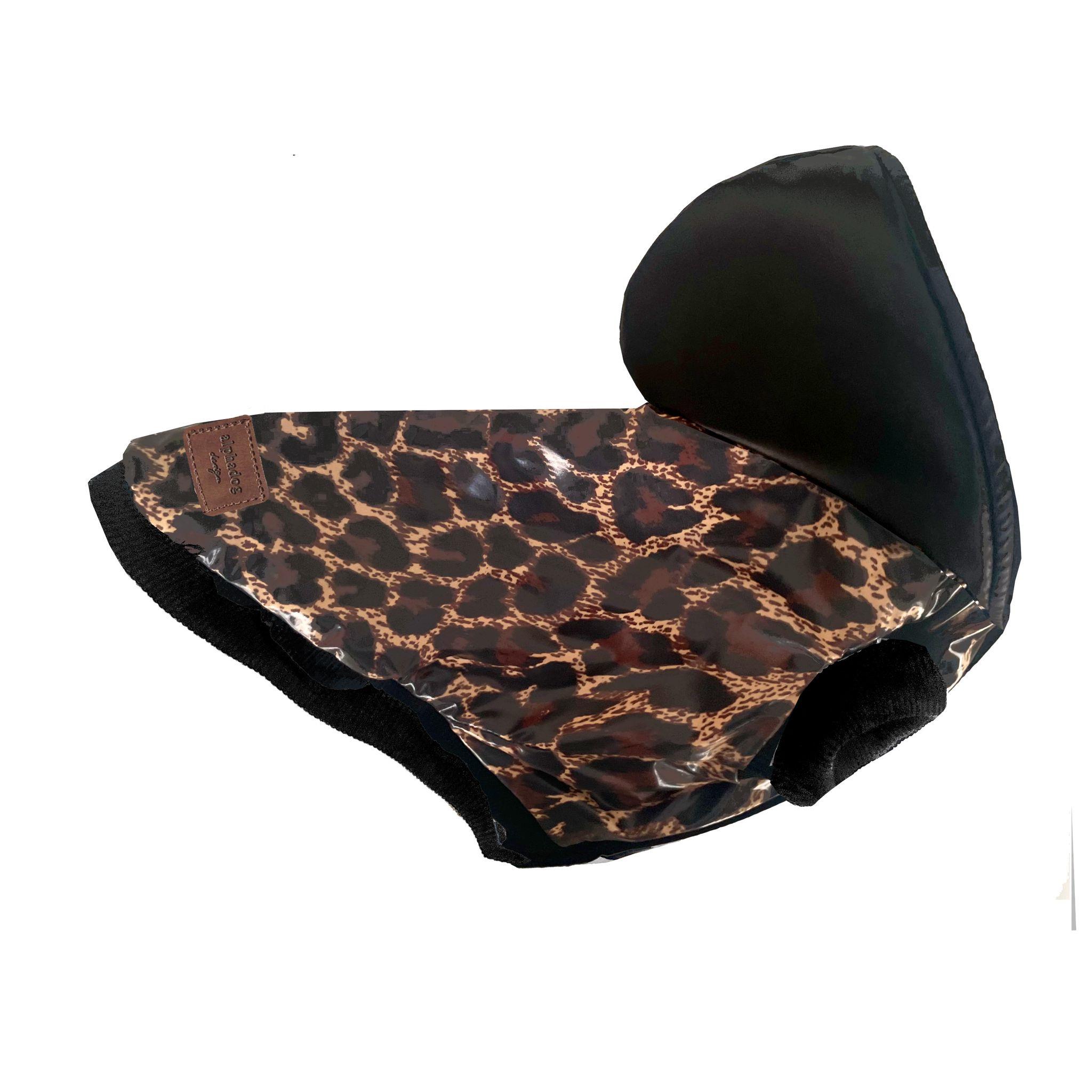 Alphadog Leopard Köpek Montu