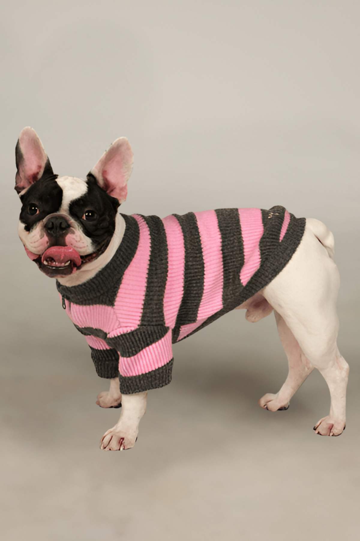 Apac.co Dalton Pembe Gri Çizgili Köpek Kazağı