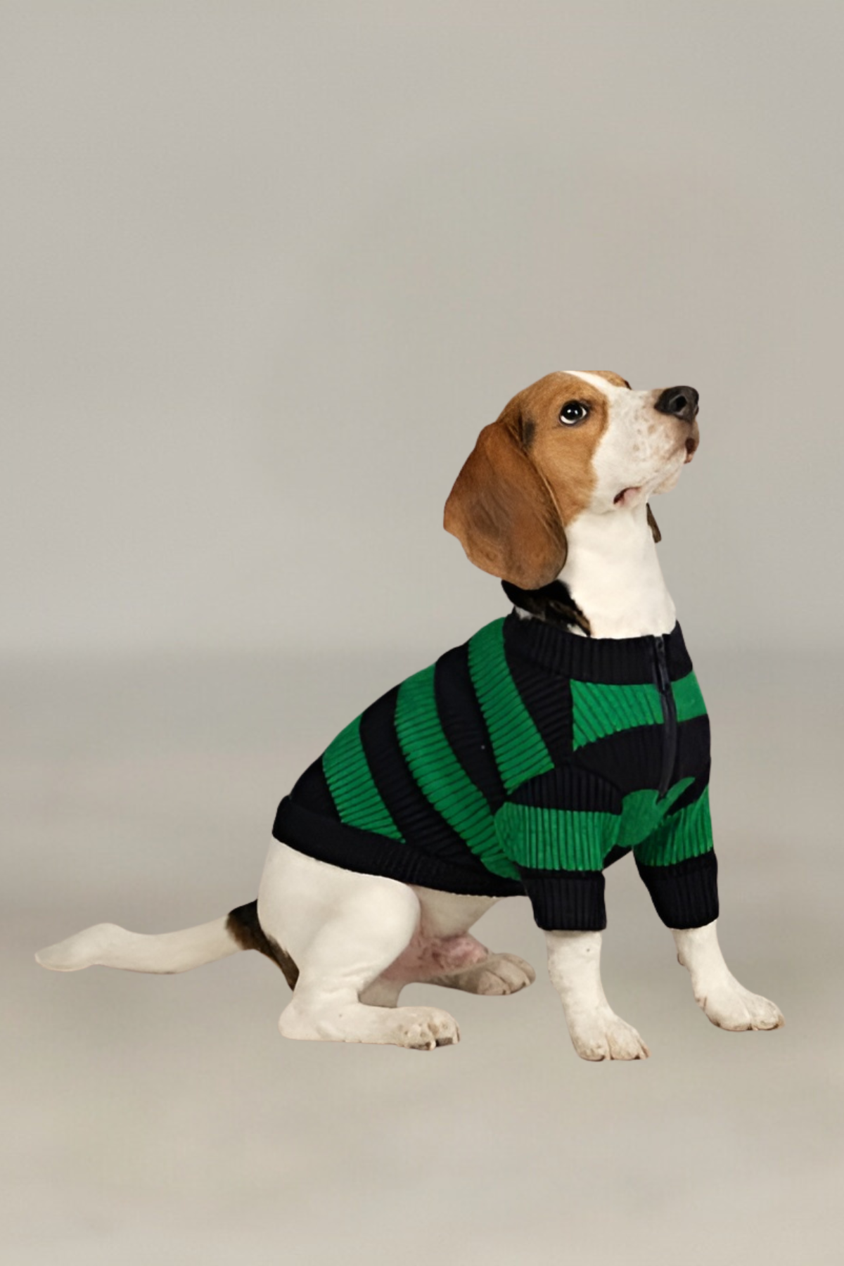 Apac.co Dalton Lacivert Yeşil Çizgili Köpek Kazağı