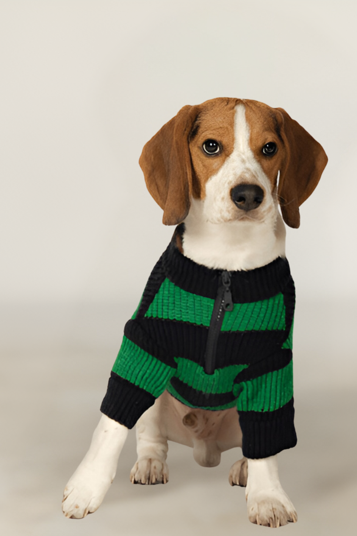 Apac.co Dalton Lacivert Yeşil Çizgili Köpek Kazağı