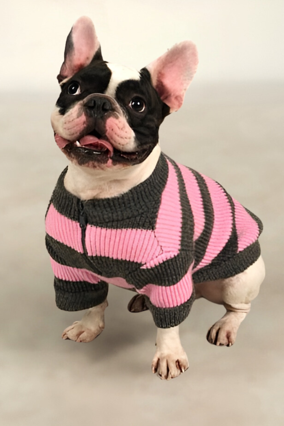 Apac.co Dalton Pembe Gri Çizgili Köpek Kazağı