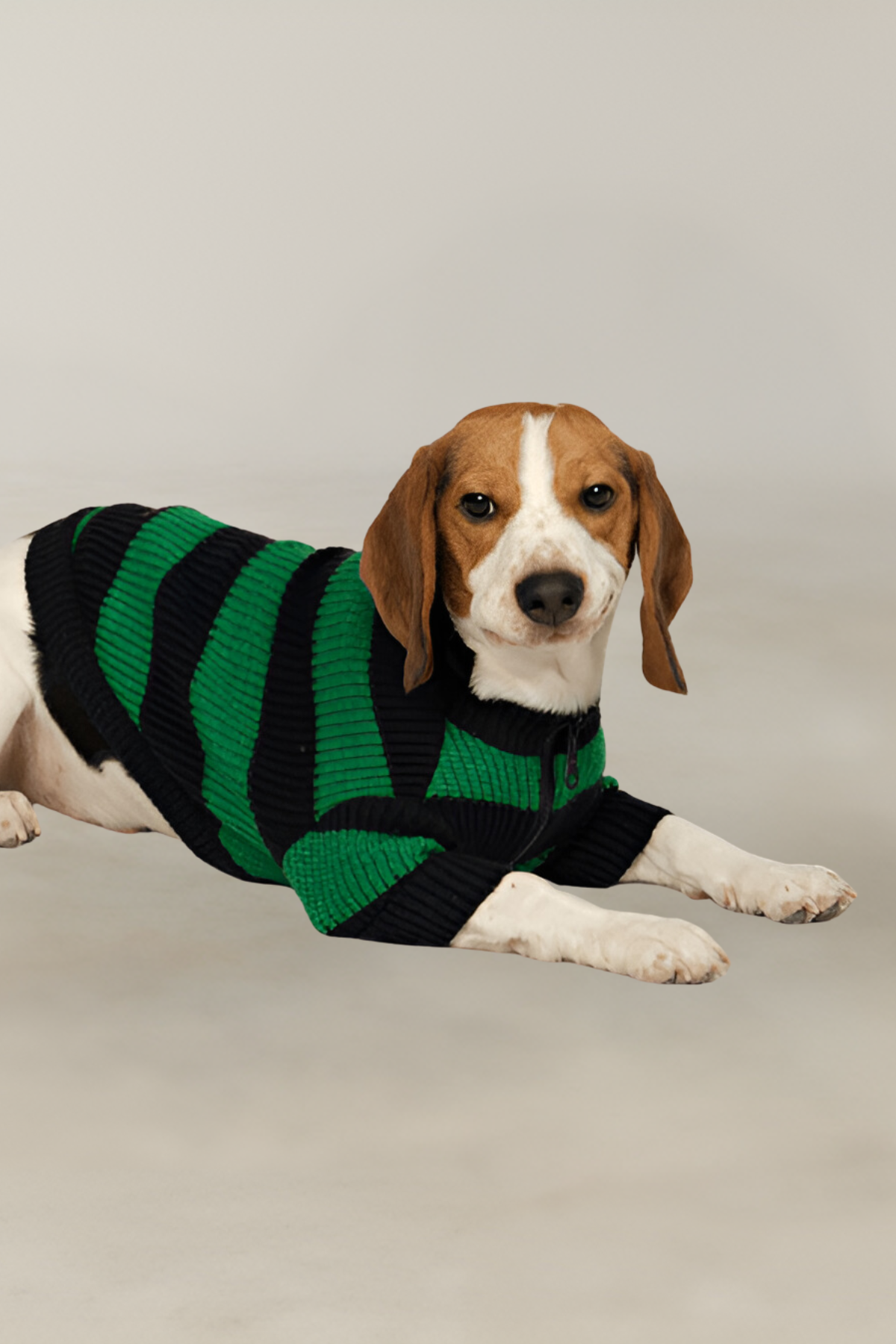 Apac.co Dalton Lacivert Yeşil Çizgili Köpek Kazağı