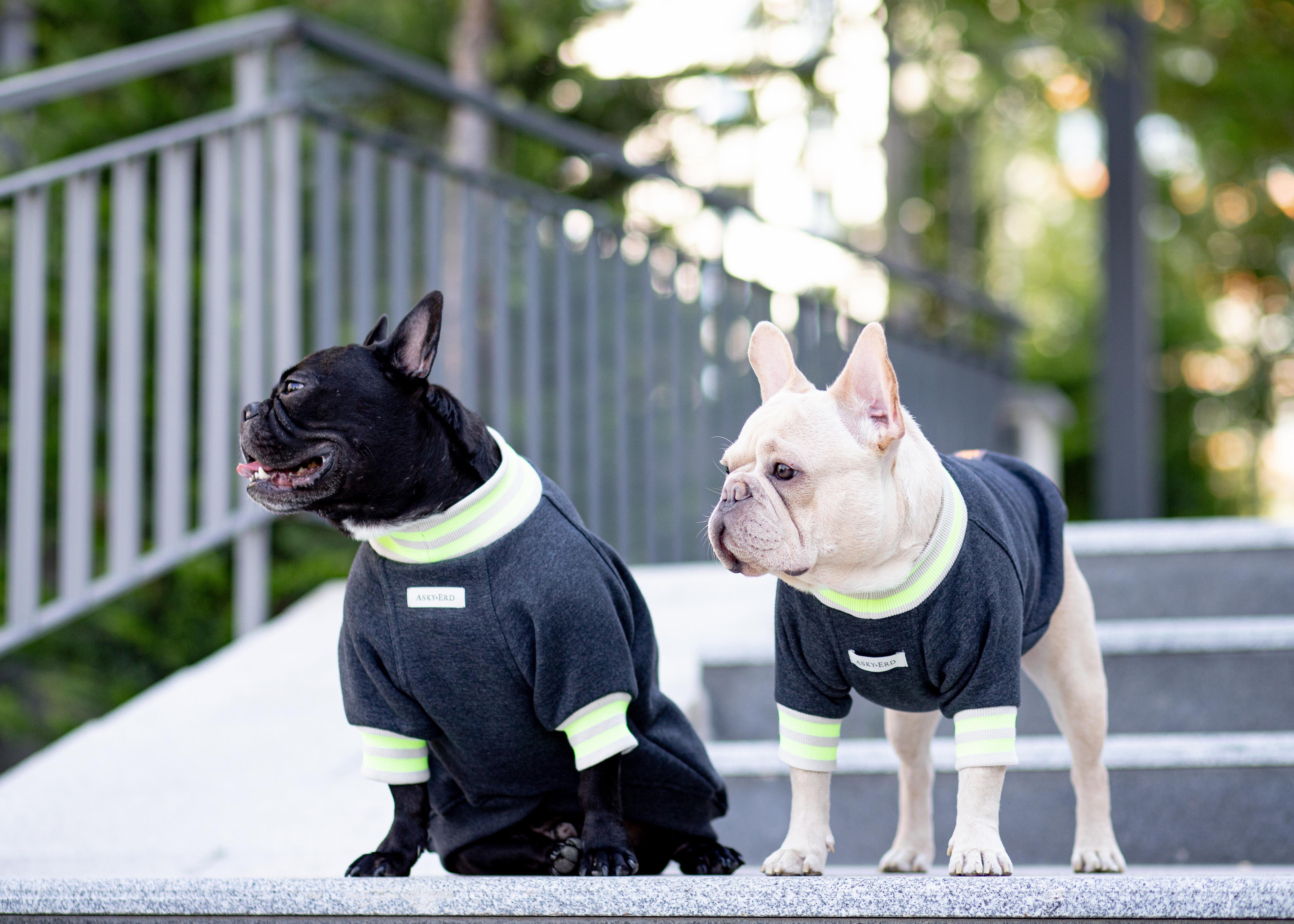 Asky and Erd Manhattan Sweatshirt | Graphite Köpek Sweatshirt