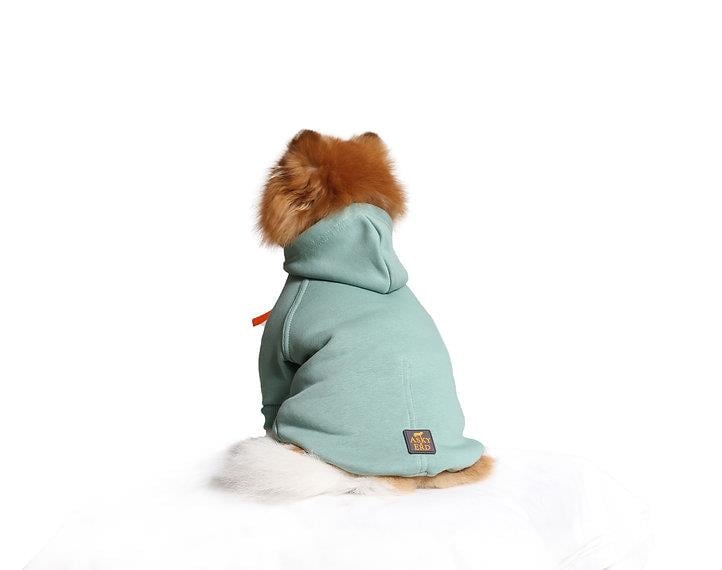 Asky and Erd Soho Hoodie | Ocean Green Köpek Sweatshirti