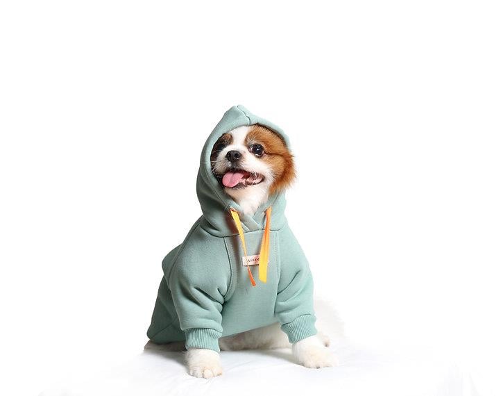 Asky and Erd Soho Hoodie | Ocean Green Köpek Sweatshirti