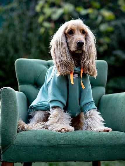 Asky and Erd Soho Hoodie | Ocean Green Köpek Sweatshirti
