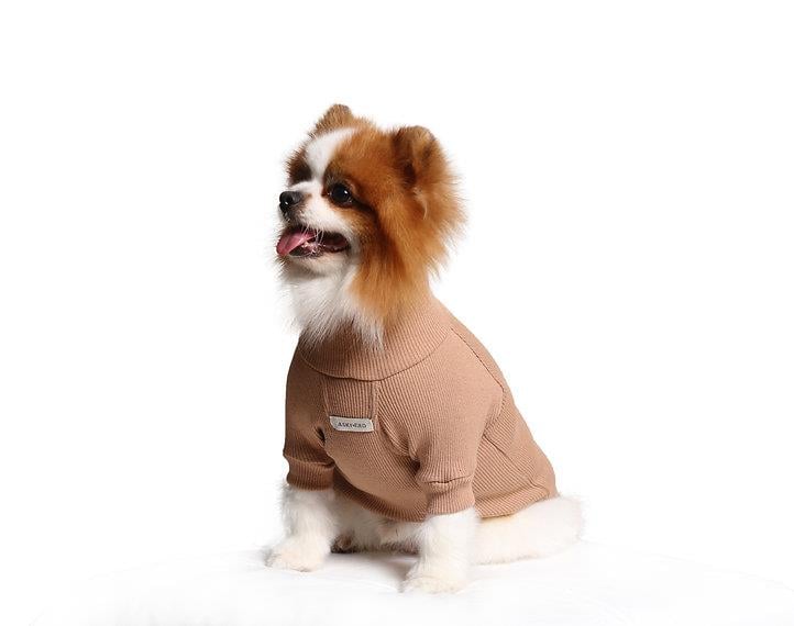 Asky and Erd Turtleneck Tshirt | Desert Sand Köpek Sweatshirt