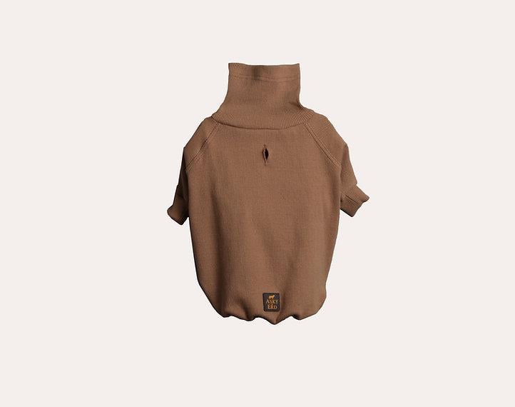 Asky and Erd Turtleneck Tshirt | Desert Sand Köpek Sweatshirt