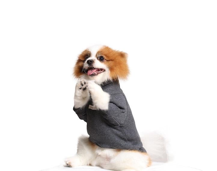 Asky and Erd Turtleneck Tshirt | Graphite Köpek Sweatshirt