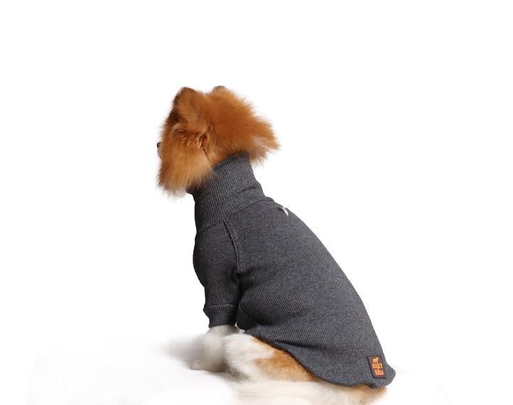 Asky and Erd Turtleneck Tshirt | Graphite Köpek Sweatshirt