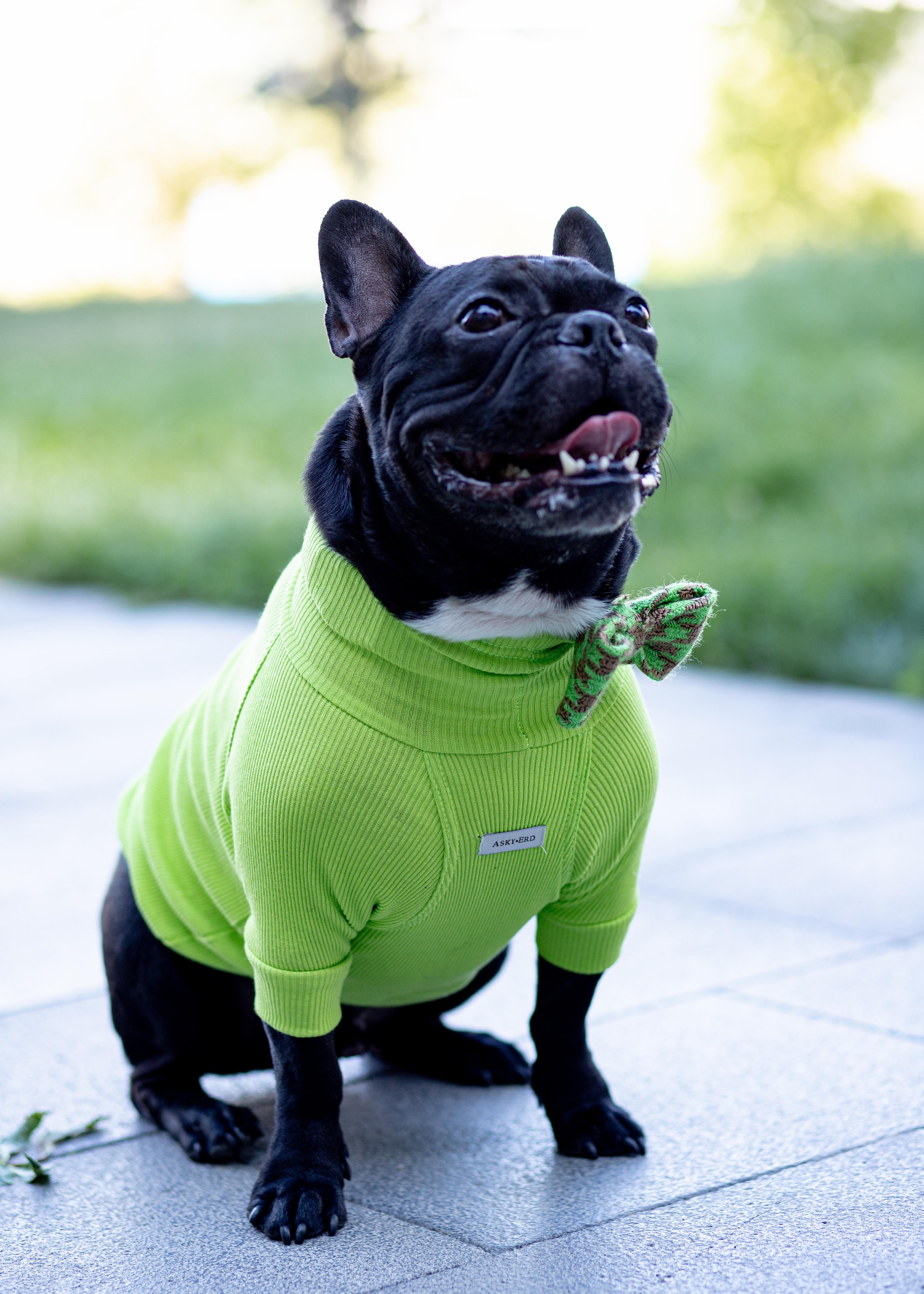 Asky and Erd Turtleneck Tshirt | Lime Köpek Sweatshirt
