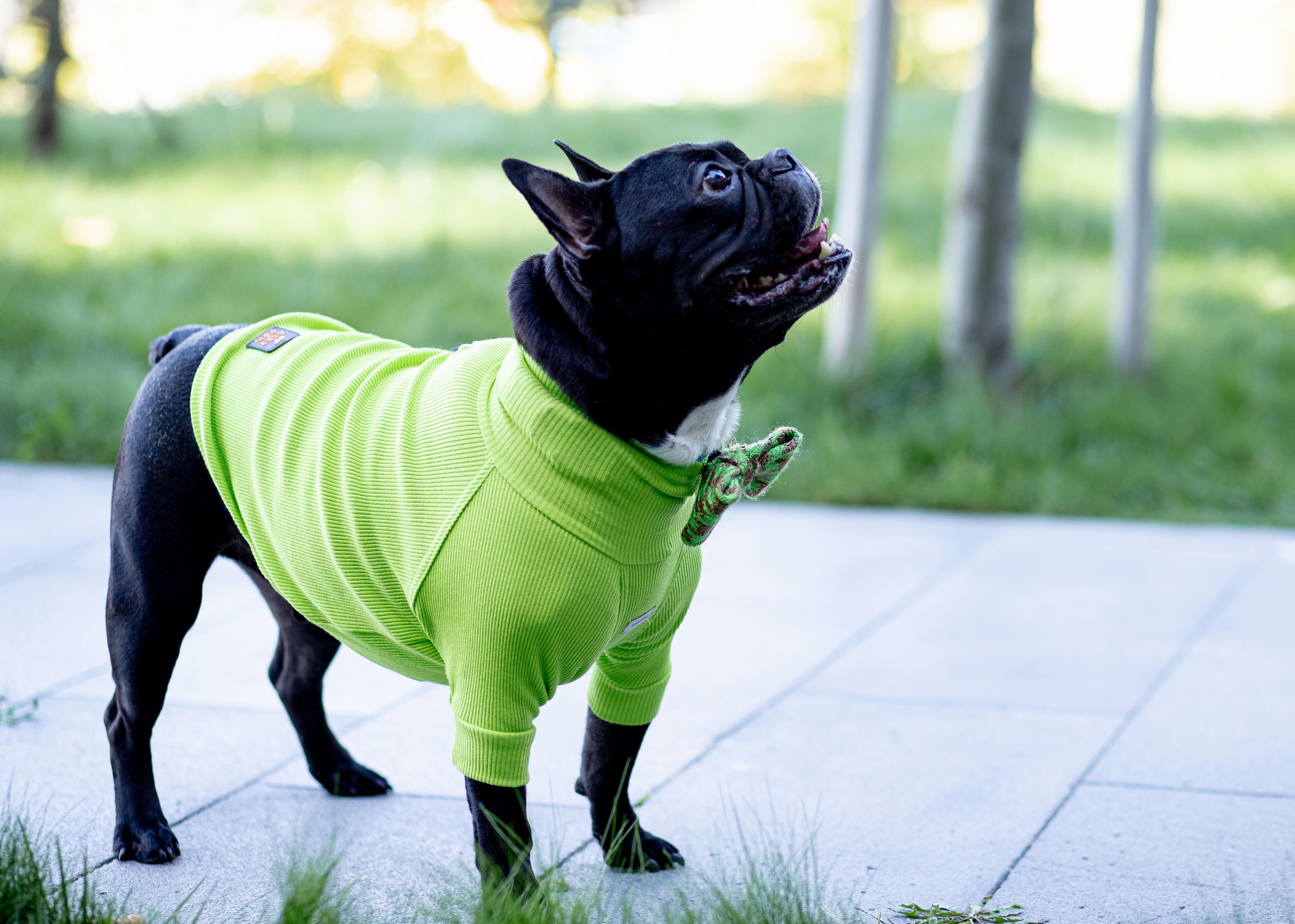 Asky and Erd Turtleneck Tshirt | Lime Köpek Sweatshirt