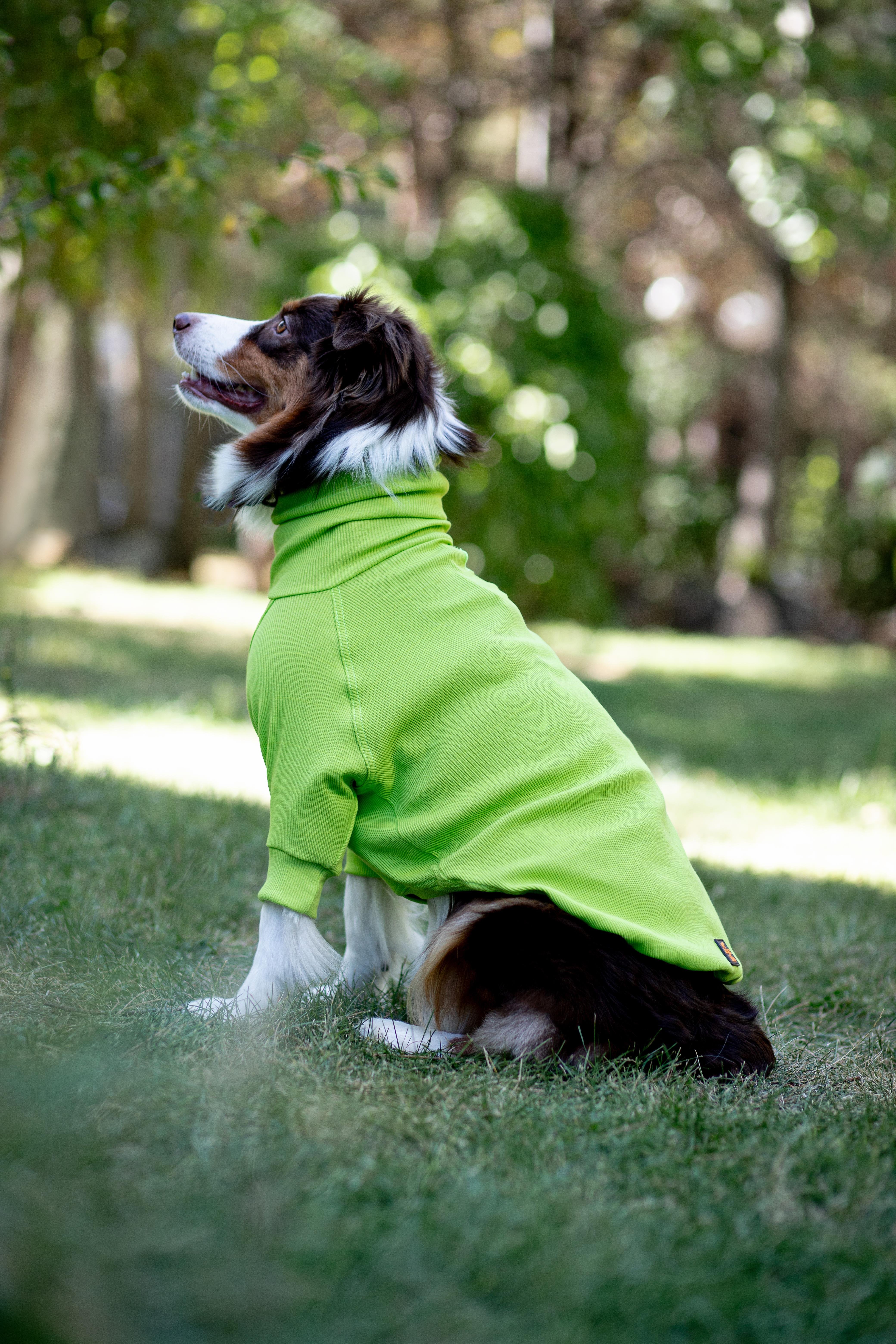 Asky and Erd Turtleneck Tshirt | Lime Köpek Sweatshirt