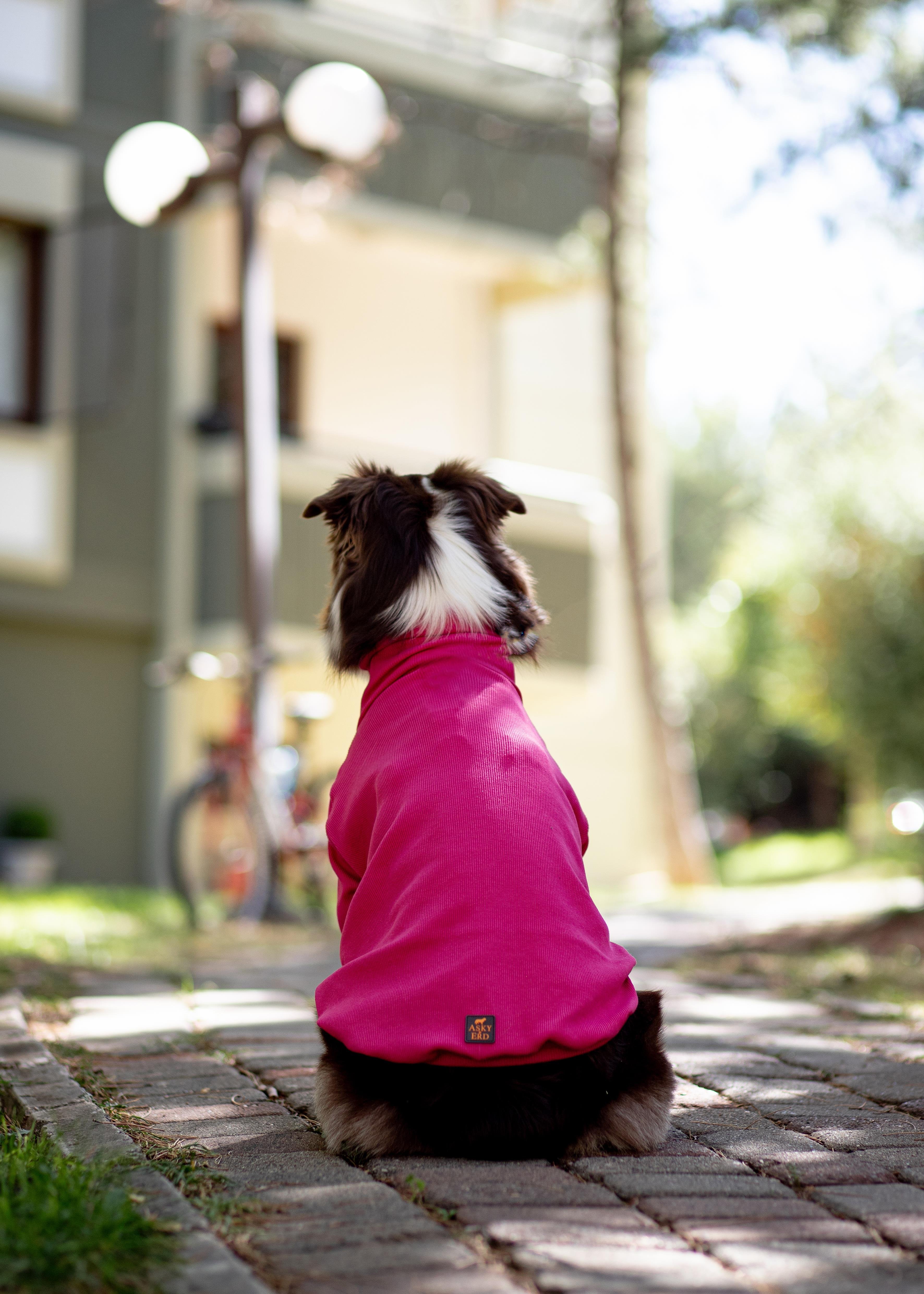 Asky and Erd Turtleneck Tshirt | Magenta Köpek Sweatshirt