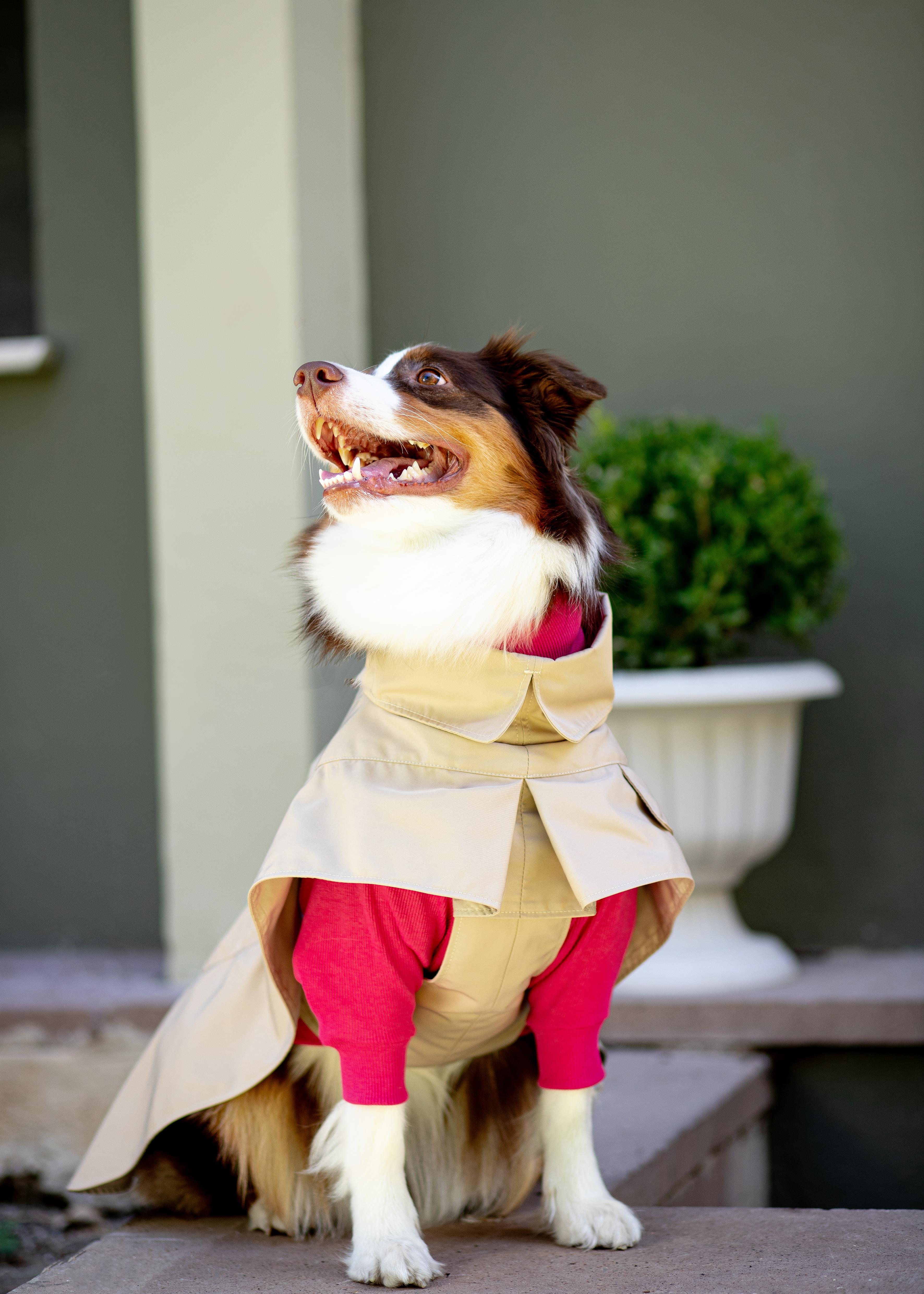 Asky and Erd Turtleneck Tshirt | Magenta Köpek Sweatshirt