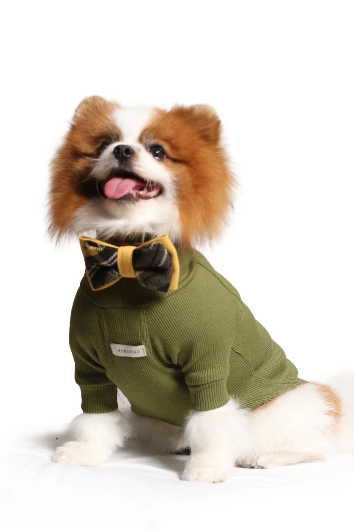 Asky and Erd Turtleneck Tshirt | Olive Köpek Sweatshirt
