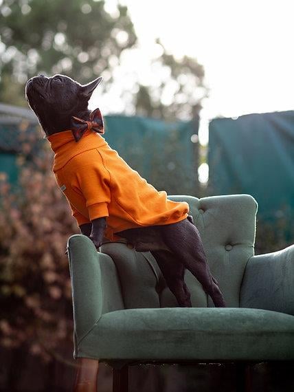 Asky and Erd Turtleneck Tshirt | Tangerine Köpek Sweatshirt