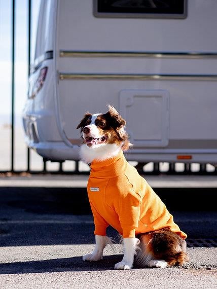 Asky and Erd Turtleneck Tshirt | Tangerine Köpek Sweatshirt