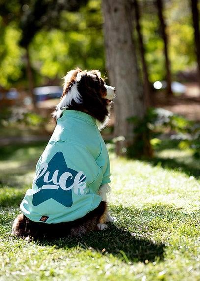 Asky and Erd Valentines Day Collection - Luck Köpek Sweatshirti