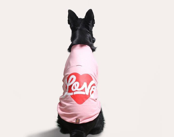 Asky and Erd Valentines Day Collection - Love Köpek Sweatshirti