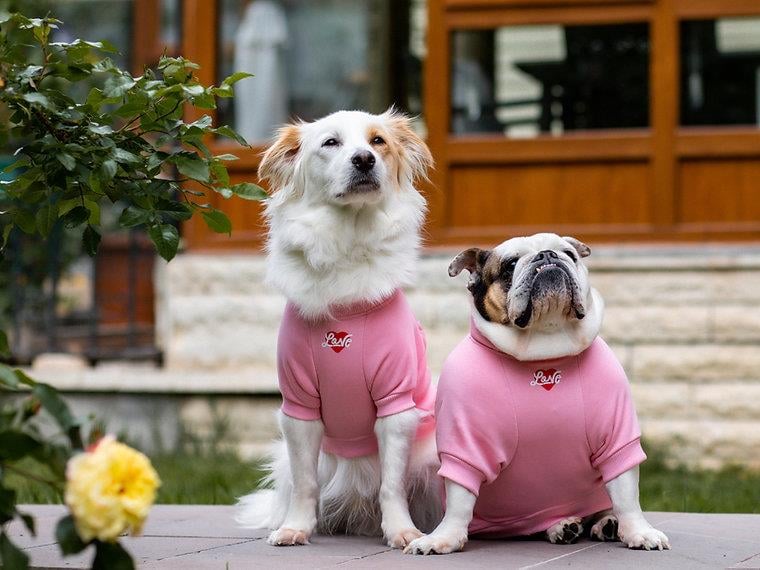Asky and Erd Valentines Day Collection - Love Köpek Sweatshirti