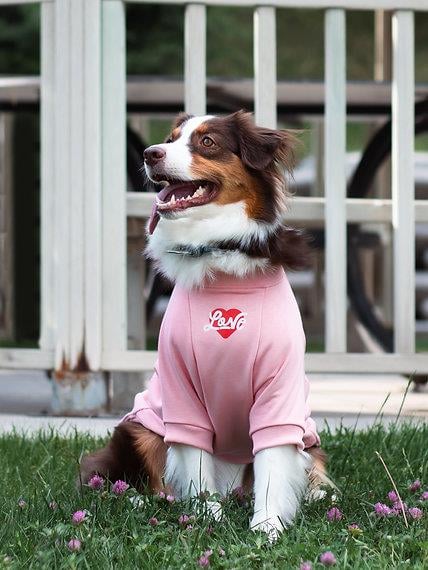 Asky and Erd Valentines Day Collection - Love Köpek Sweatshirti