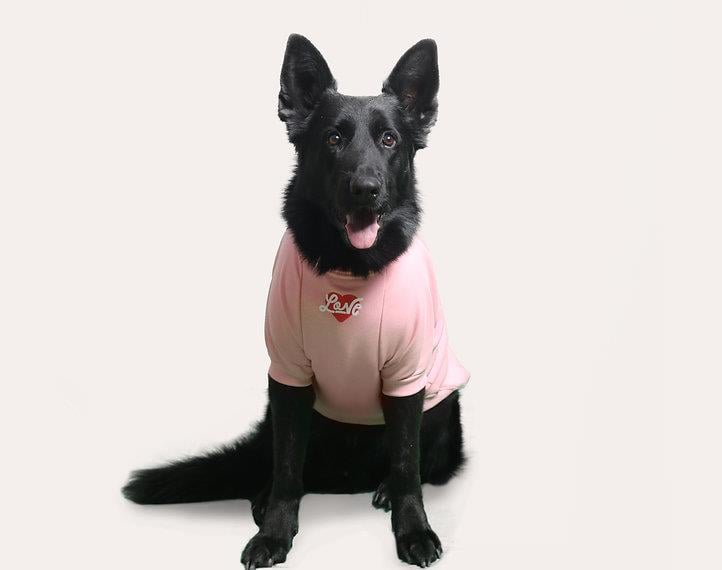 Asky and Erd Valentines Day Collection - Love Köpek Sweatshirti