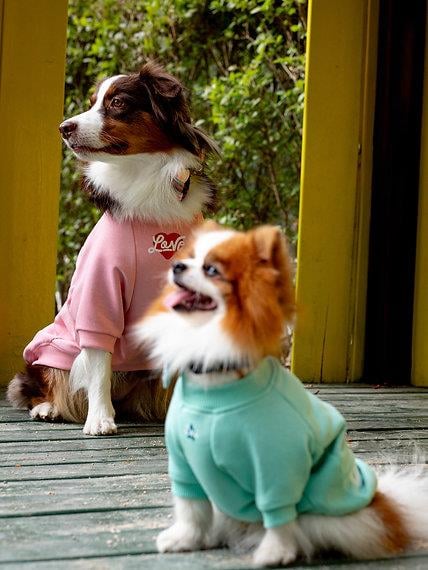 Asky and Erd Valentines Day Collection - Luck Köpek Sweatshirti