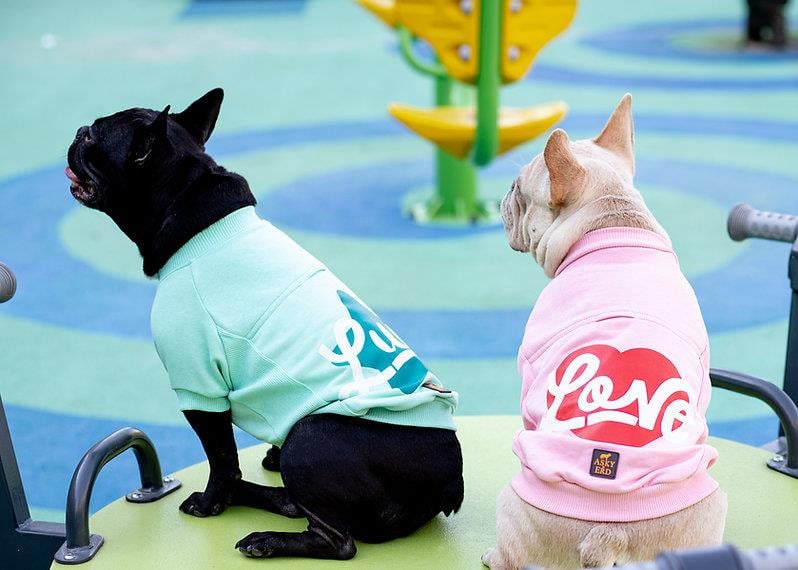 Asky and Erd Valentines Day Collection - Love Köpek Sweatshirti