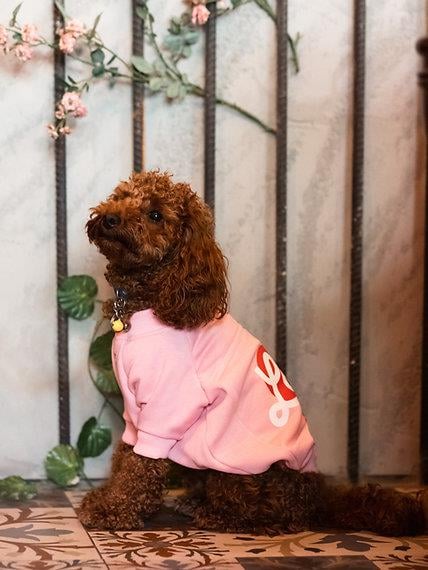 Asky and Erd Valentines Day Collection - Love Köpek Sweatshirti