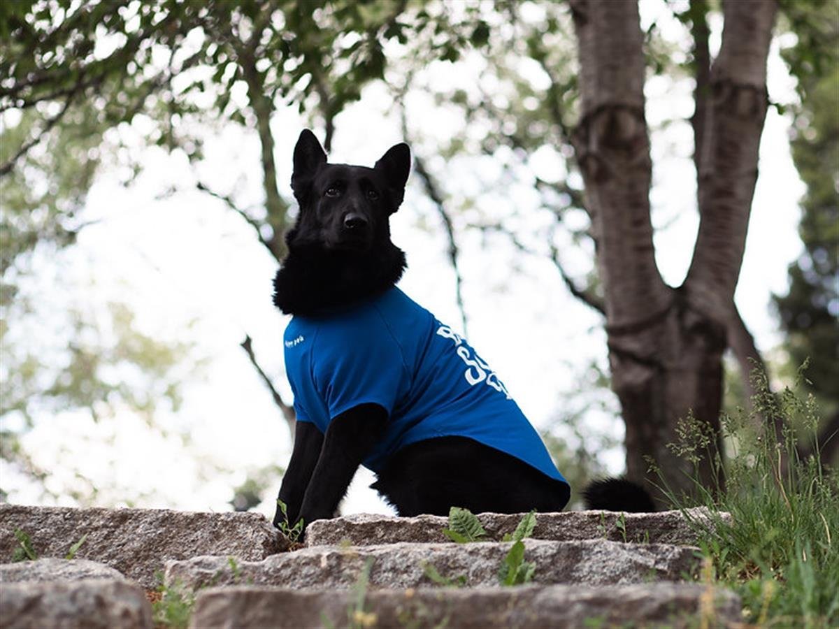 Asky Happy Dog Köpek T-shirt