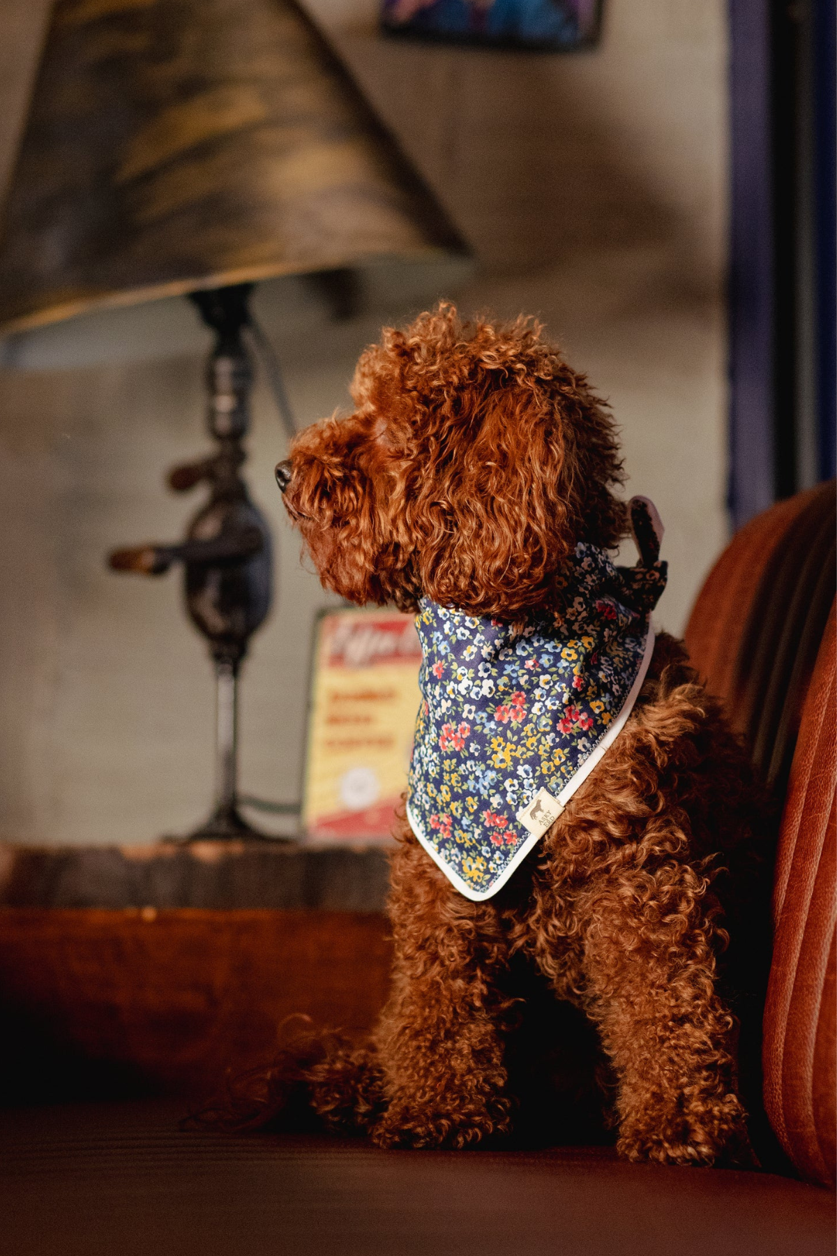 Asky&Erd Botanical Night Bandana