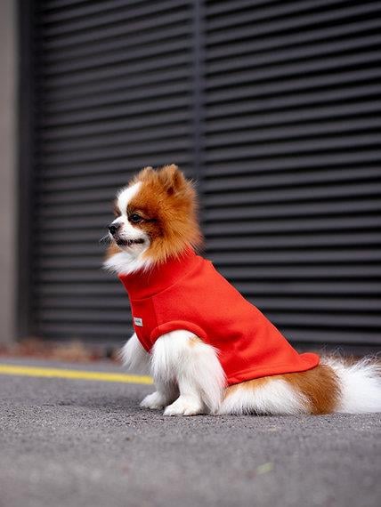 Asky&Erd Cachet Vest CANDY APPLE Köpek Hoodie