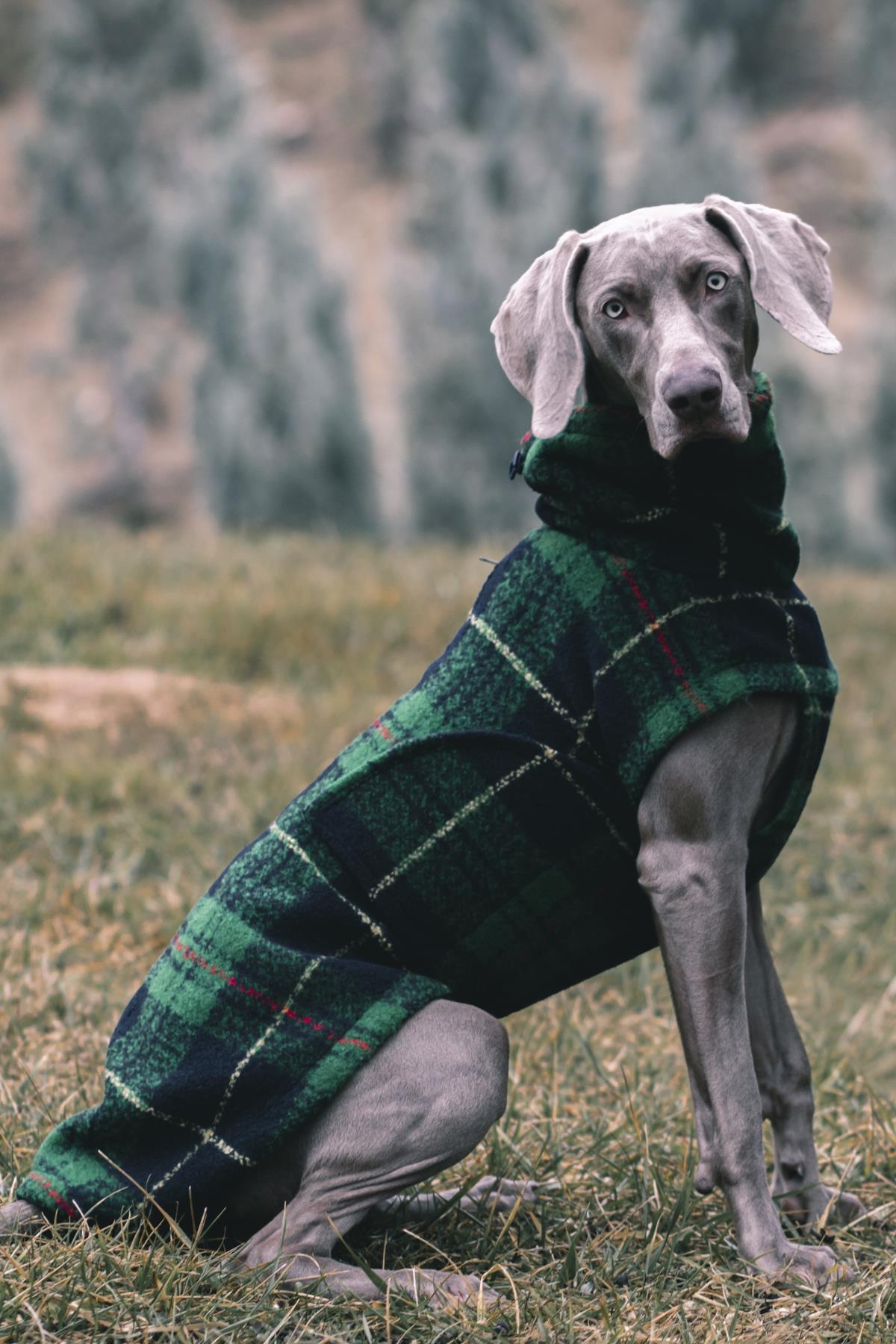 askyerd-chicago-vest-green-plaid-kopek-844c-4.jpg