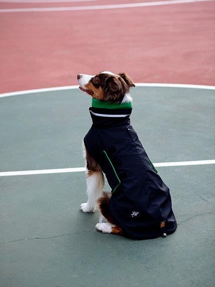 Asky&Erd Extreme Wheater Coat I Ink Köpek Montu