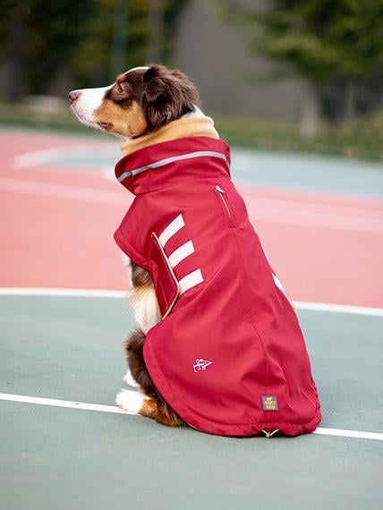 Asky&Erd Extreme Wheater Coat I Maroon Köpek Montu