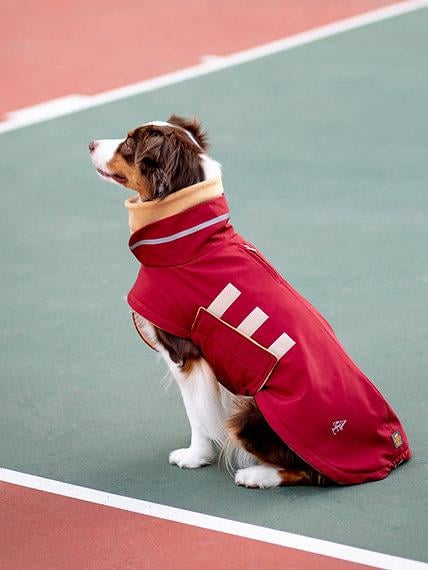 Asky&Erd Extreme Wheater Coat I Maroon Köpek Montu