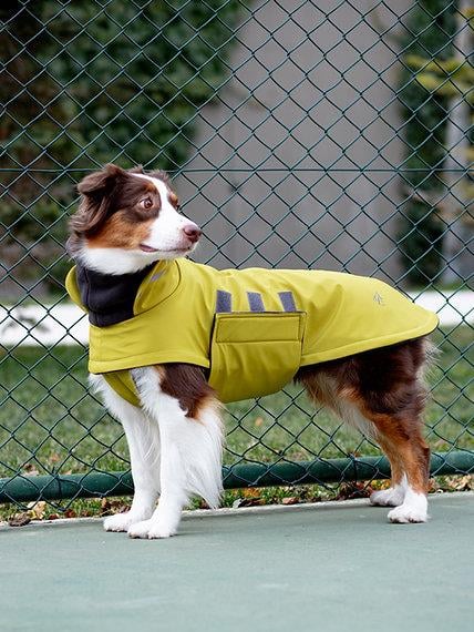 Asky&Erd Extreme Wheater Coat I Olive Köpek Montu