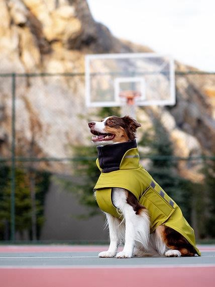 Asky&Erd Extreme Wheater Coat I Olive Köpek Montu
