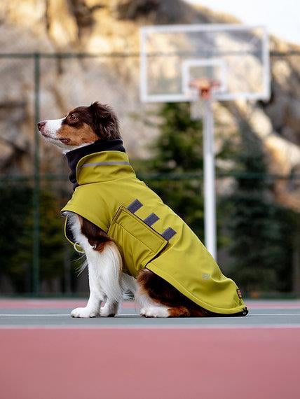 Asky&Erd Extreme Wheater Coat I Olive Köpek Montu