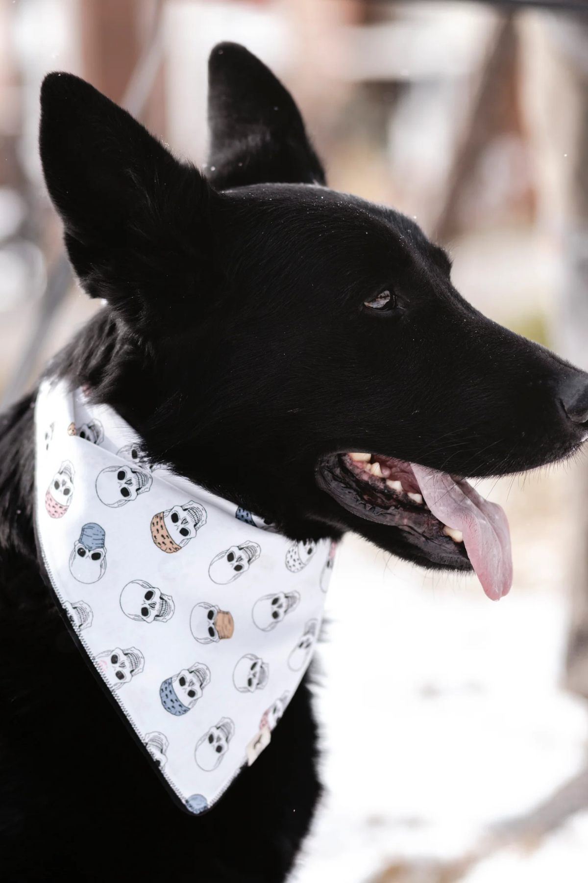 Asky&Erd Hippie Bandana 