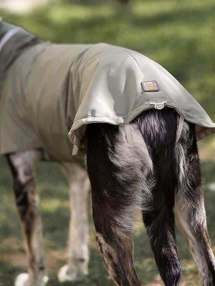 Asky&Erd Raincoat | Juniper Green Köpek Yağmurluğu