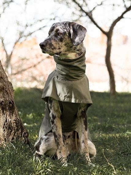 Asky&Erd Raincoat | Juniper Green Köpek Yağmurluğu