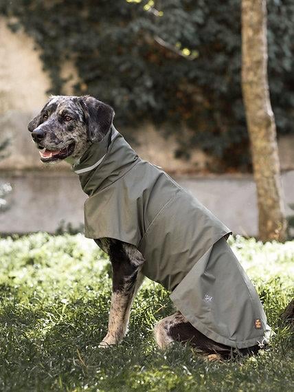 Asky&Erd Raincoat | Juniper Green Köpek Yağmurluğu