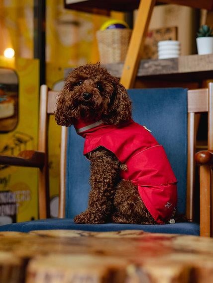 Asky&Erd Raincoat | Scarlet Red Köpek Yağmurluğu