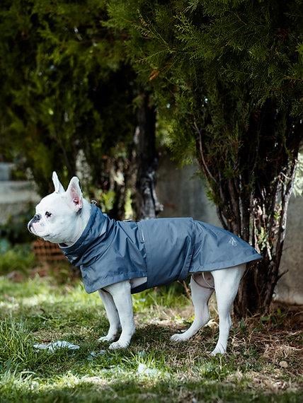 Asky&Erd Raincoat | Steel Grey Köpek Yağmurluğu