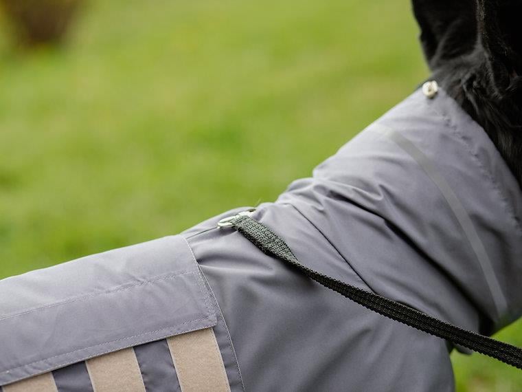 Asky&Erd Raincoat | Steel Grey Köpek Yağmurluğu